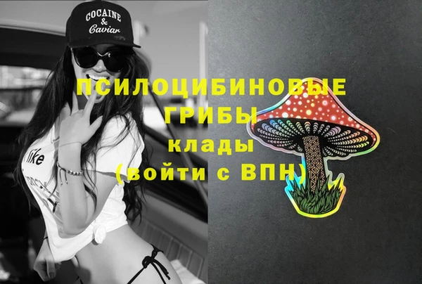 ПСИЛОЦИБИНОВЫЕ ГРИБЫ Белоозёрский