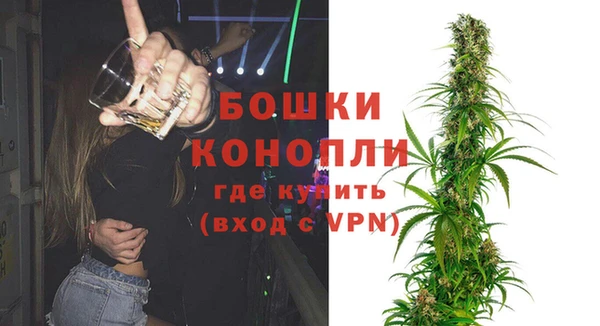ПСИЛОЦИБИНОВЫЕ ГРИБЫ Белоозёрский