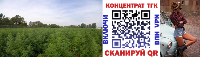 Дистиллят ТГК концентрат  где купить наркотик  Дагестанские Огни 