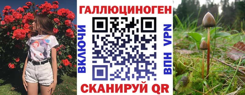 где купить наркоту  Дагестанские Огни  Галлюциногенные грибы Psilocybe 