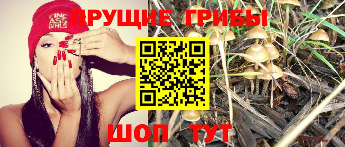 Дагестанские Огни  Галлюциногенные грибы прущие грибы  Вход с VPN 